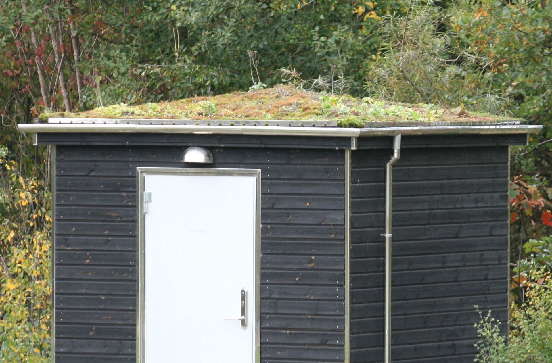Et sort skur med hvid dør og grønt tag