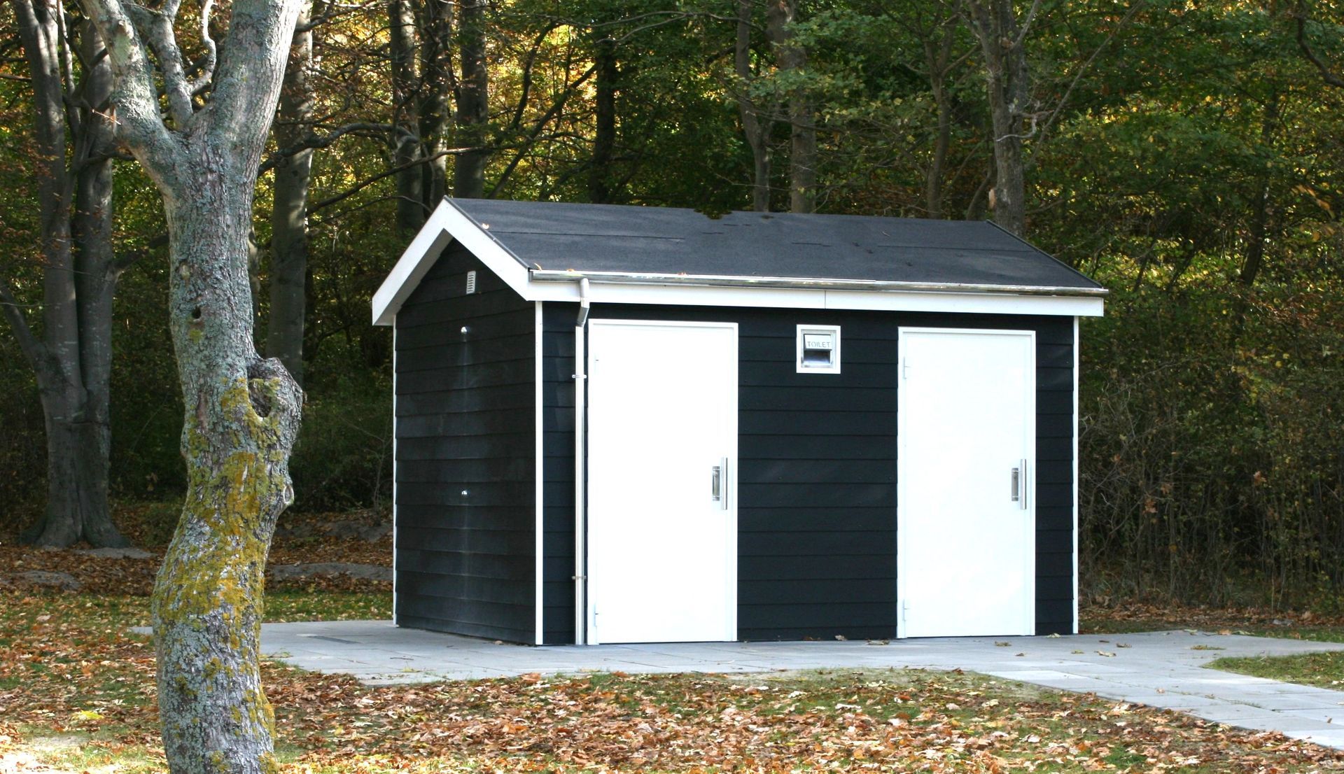 Et sort/hvidt skur midt i en skov