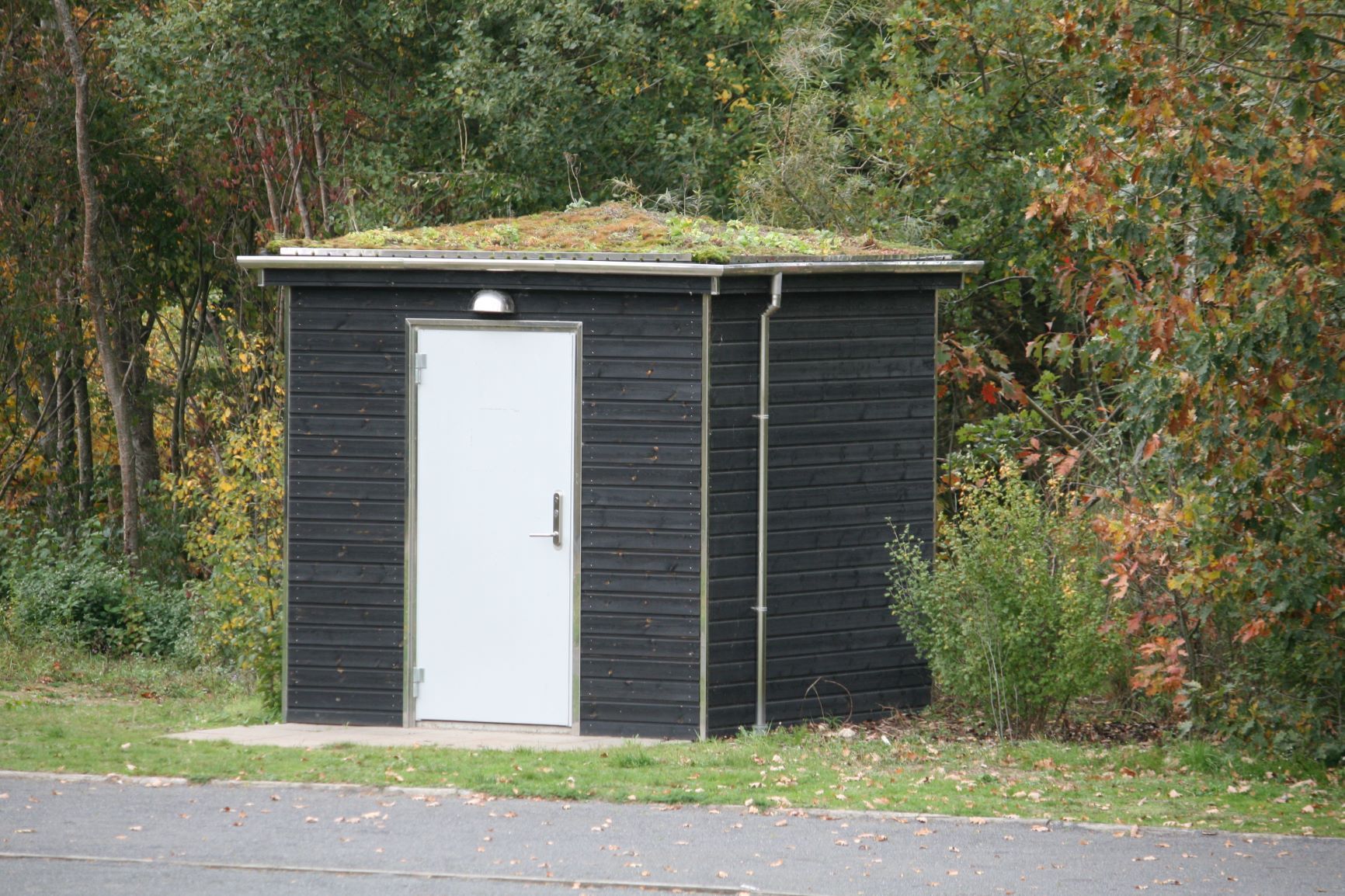 Et lille sort skur med hvid dør og grønt tag