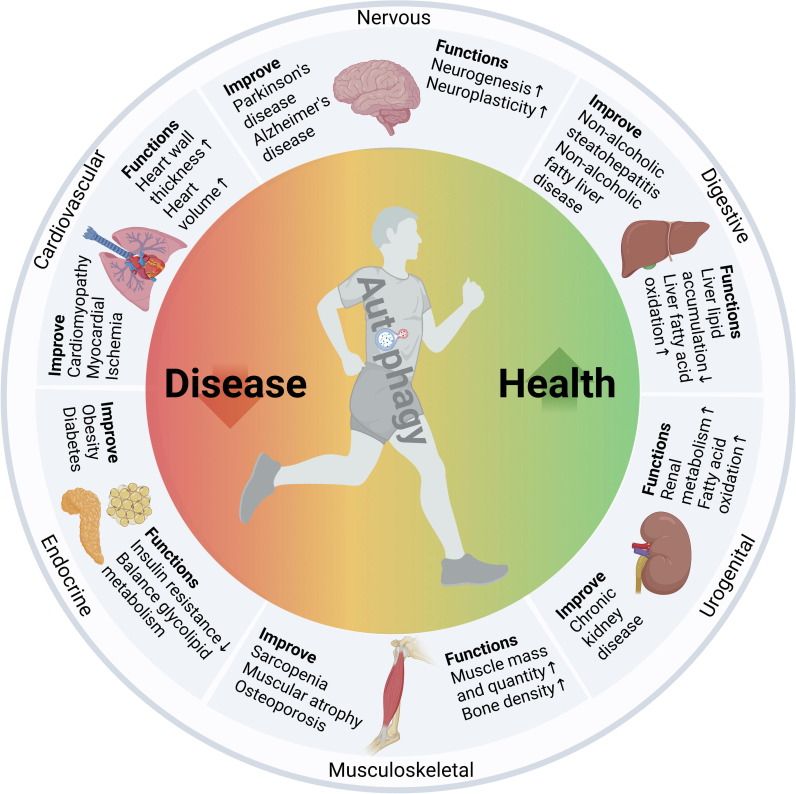 clinical research notes on desk