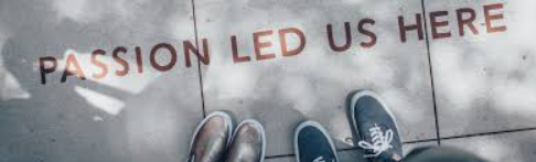 AM Solutions SEO digital marketing