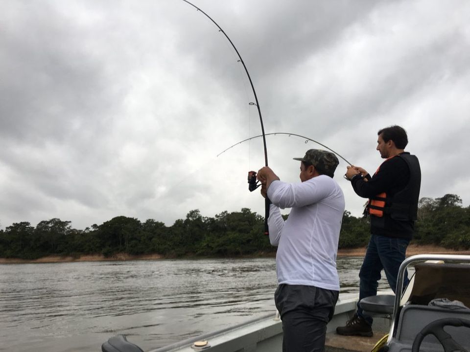 Dicas De Pescaria No Pantanal