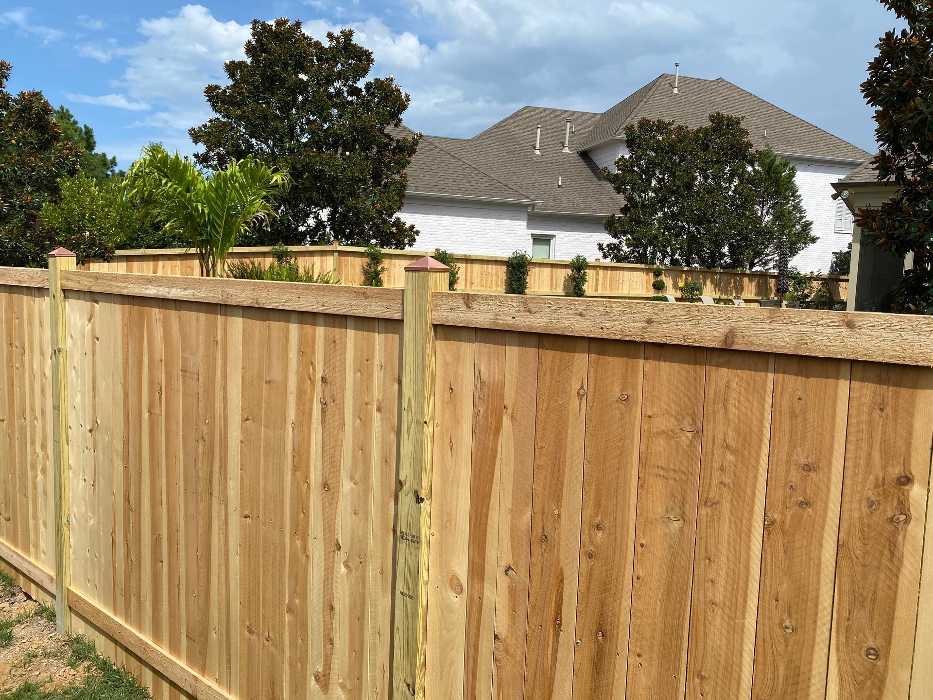 Cedar privacy fence with fascia boards