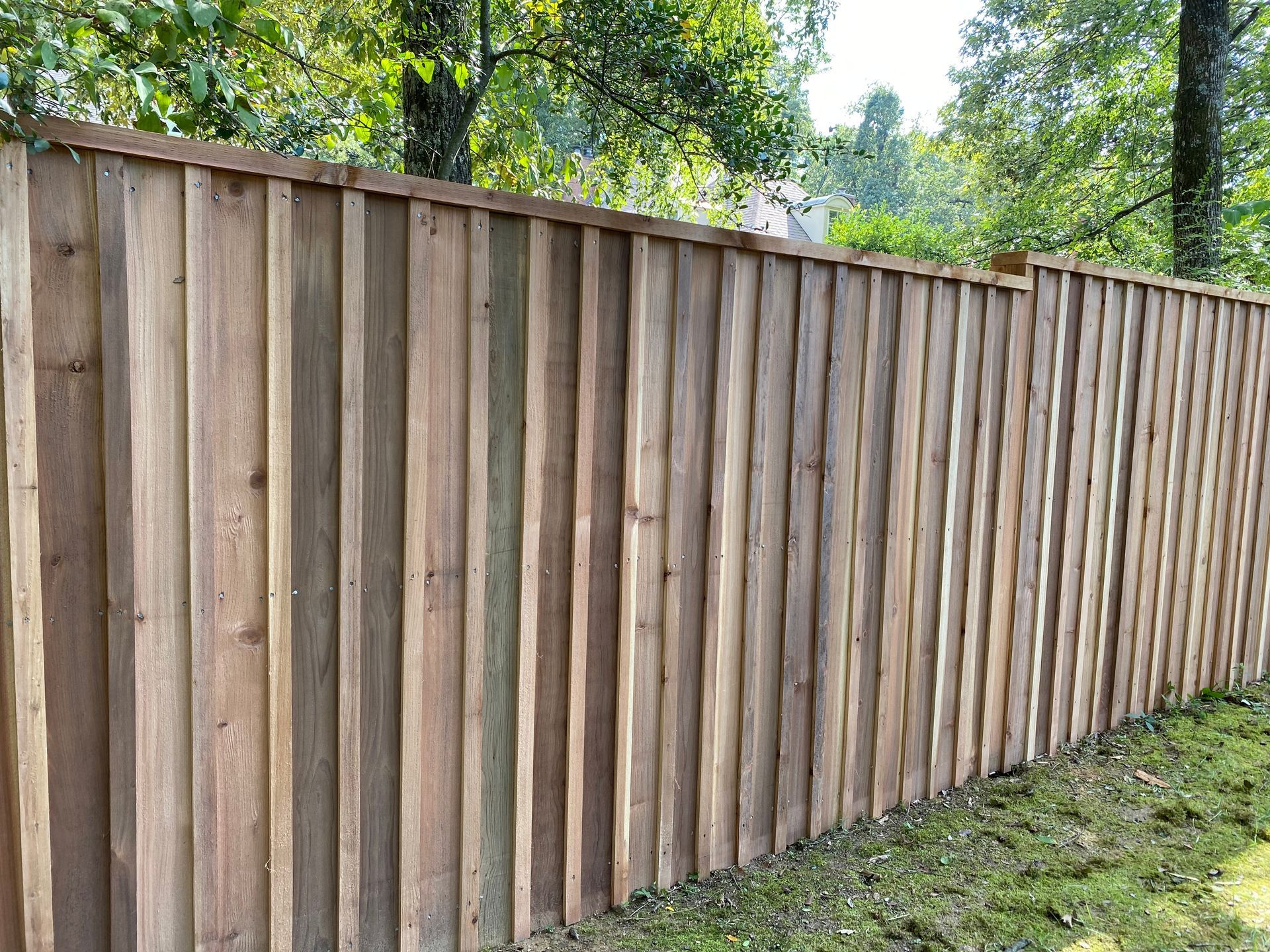 6 foot cedar board and button with cap