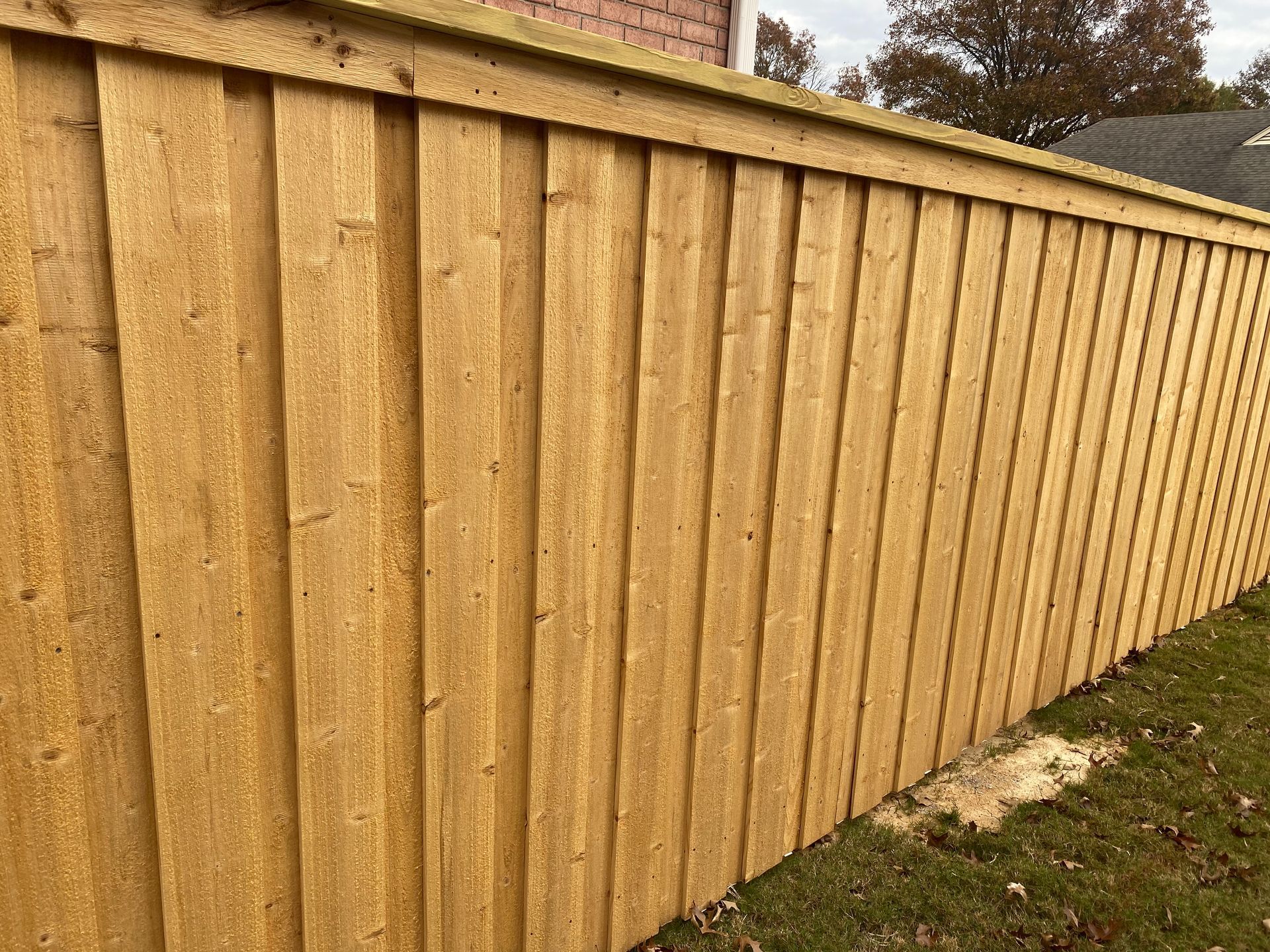 6 foot privacy board on board with cap and fascia