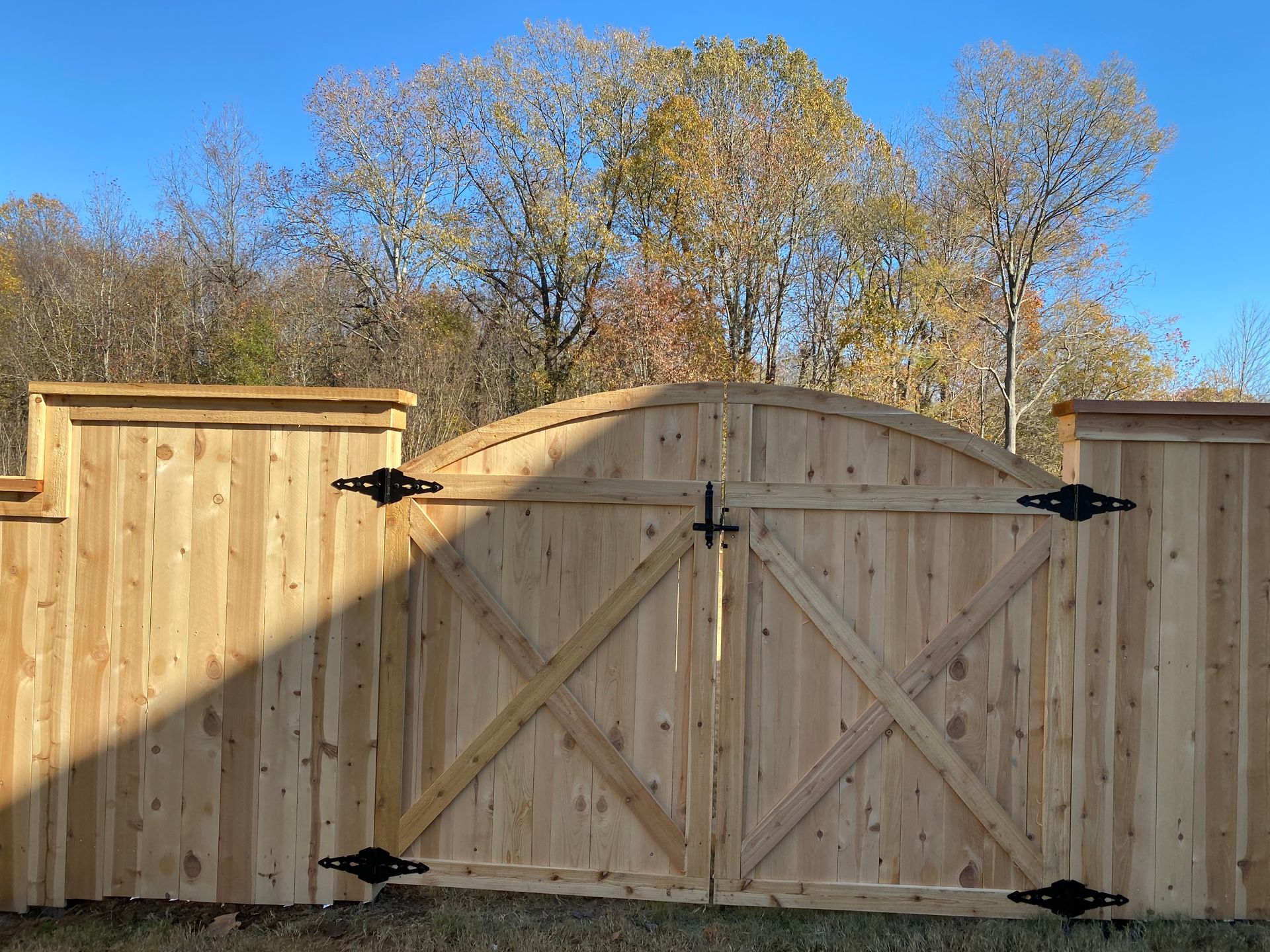 6 foot cedar with cap and fascia. Arced gate 