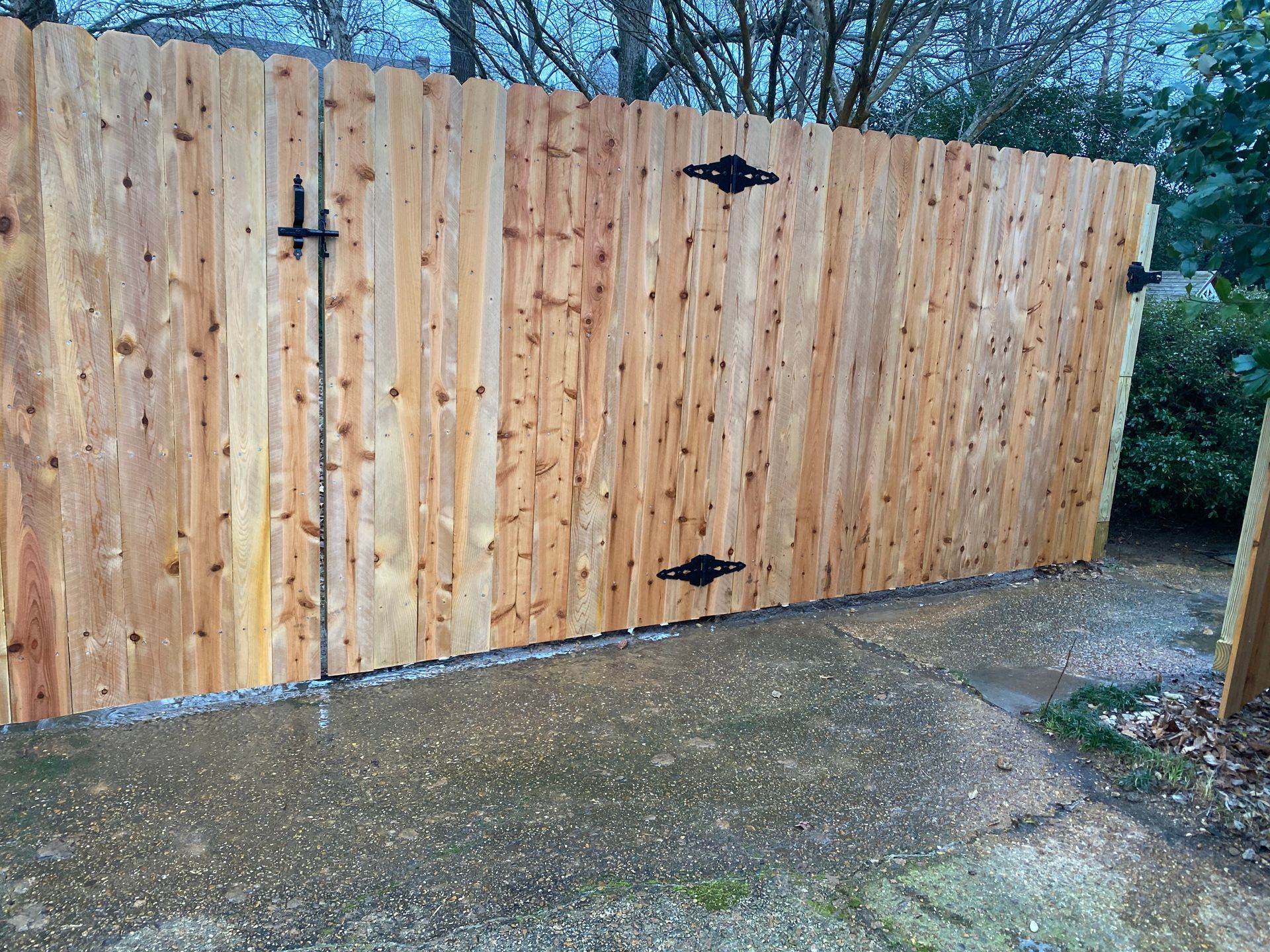 Cedar fence with walk gate