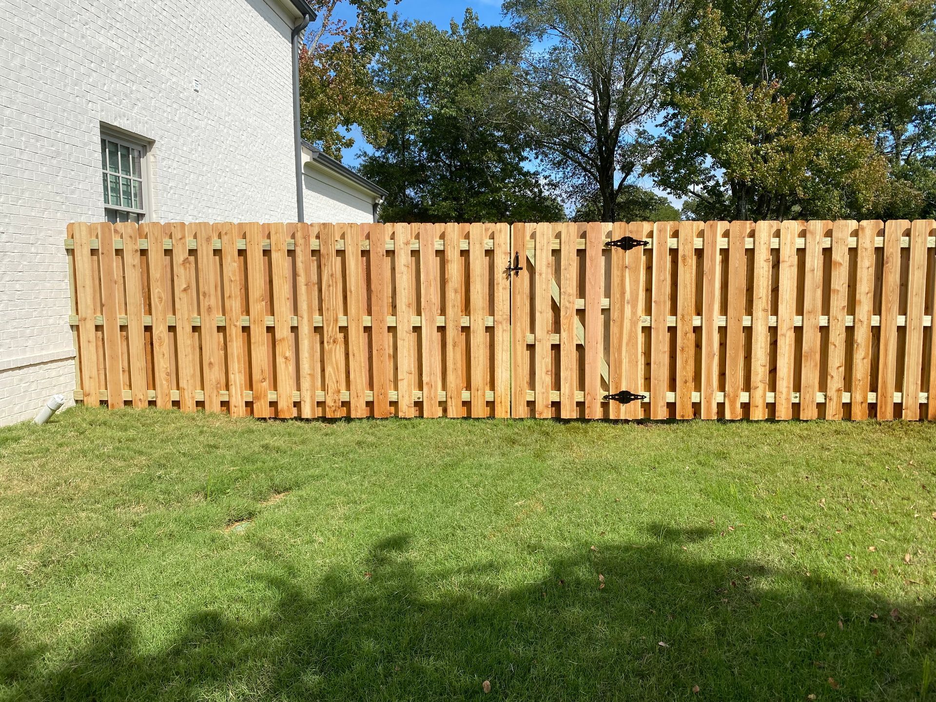 Cedar shadow box fence
