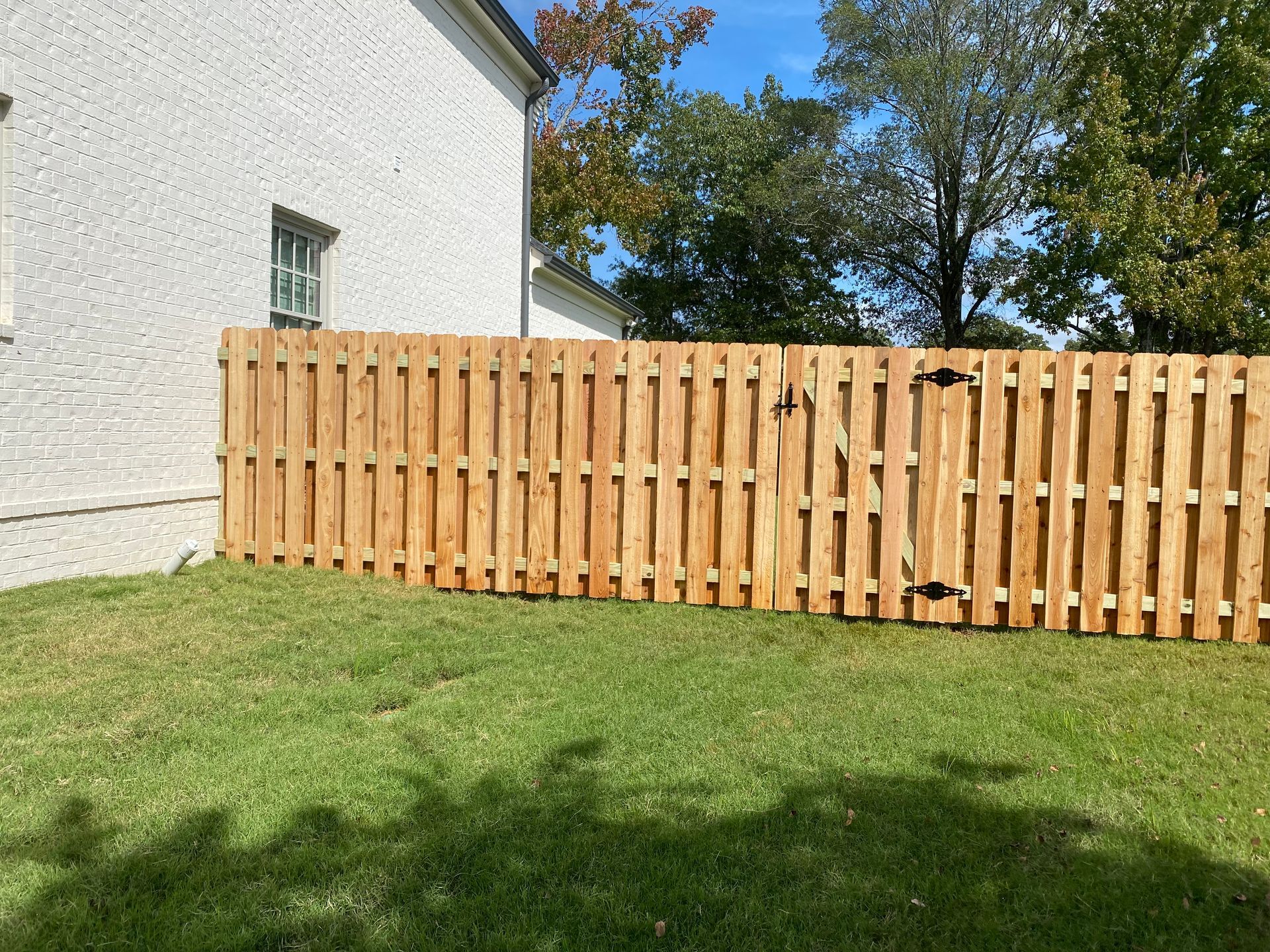Cedar shadow box fence
