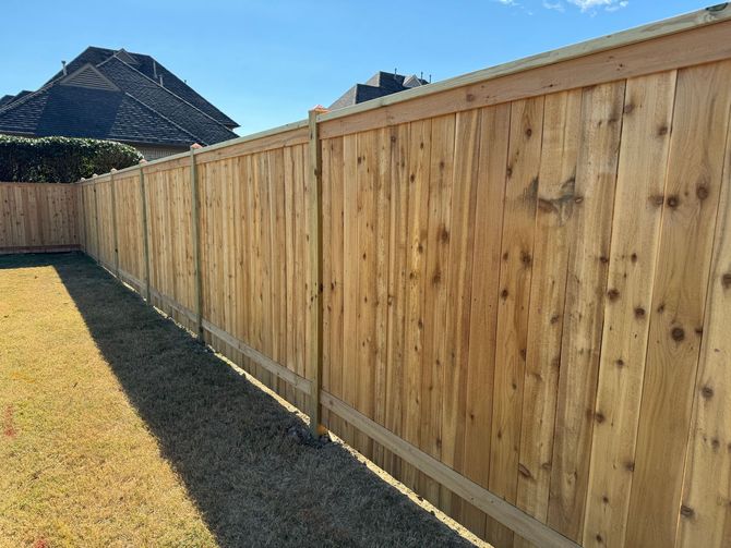 Cedar Fence