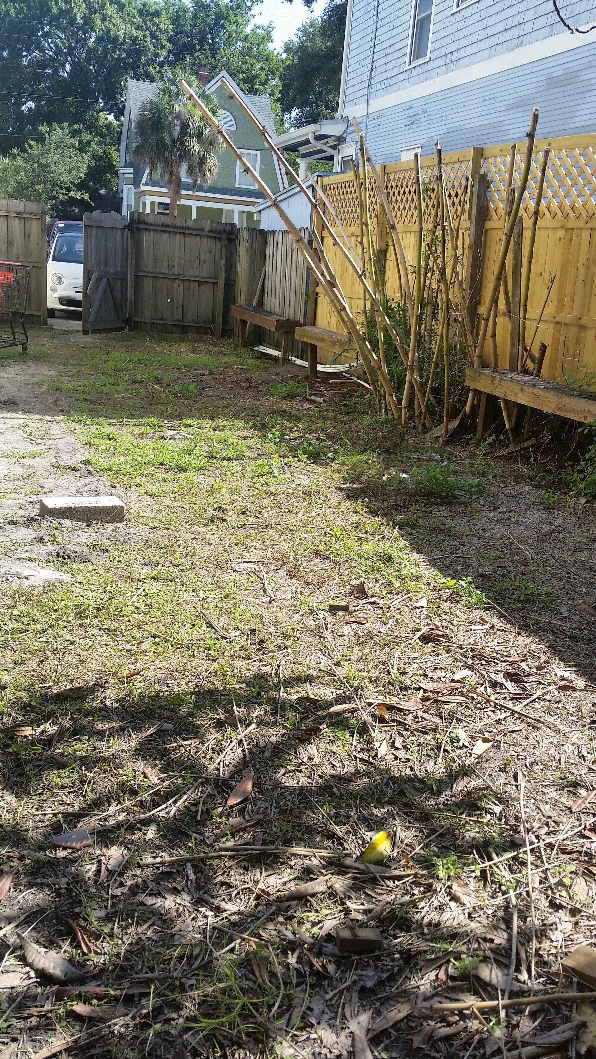 Empty Backyard — Jacksonville, FL — K & R Pond Care Inc