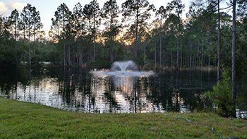 Huge Pond — Jacksonville, FL — K & R Pond Care Inc