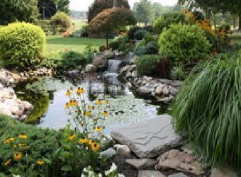 Pond With Beautiful Landscaping — Jacksonville, FL — K & R Pond Care Inc