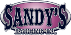 Sandy's Hauling Inc. logo in dark blue font on a pink and silver background.