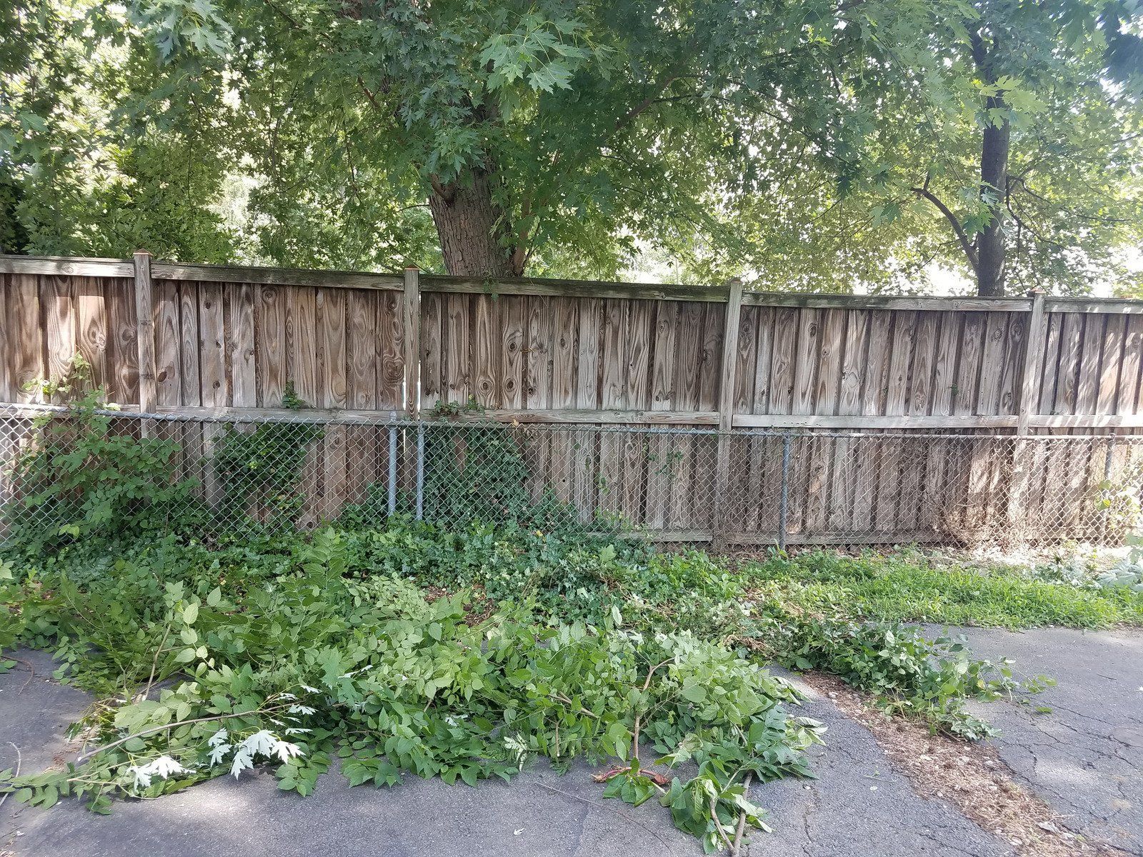 Pile of splintered wood and broken pallets against a cinder block wall.