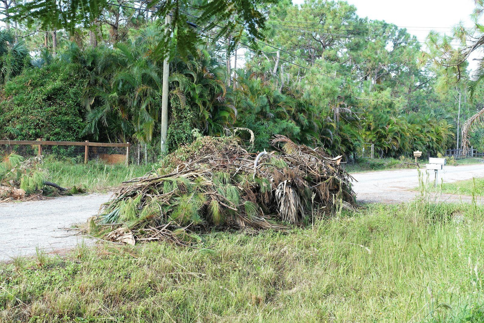 Pile of discarded household items on a curb, including furniture, wood, and debris; in front of a house.