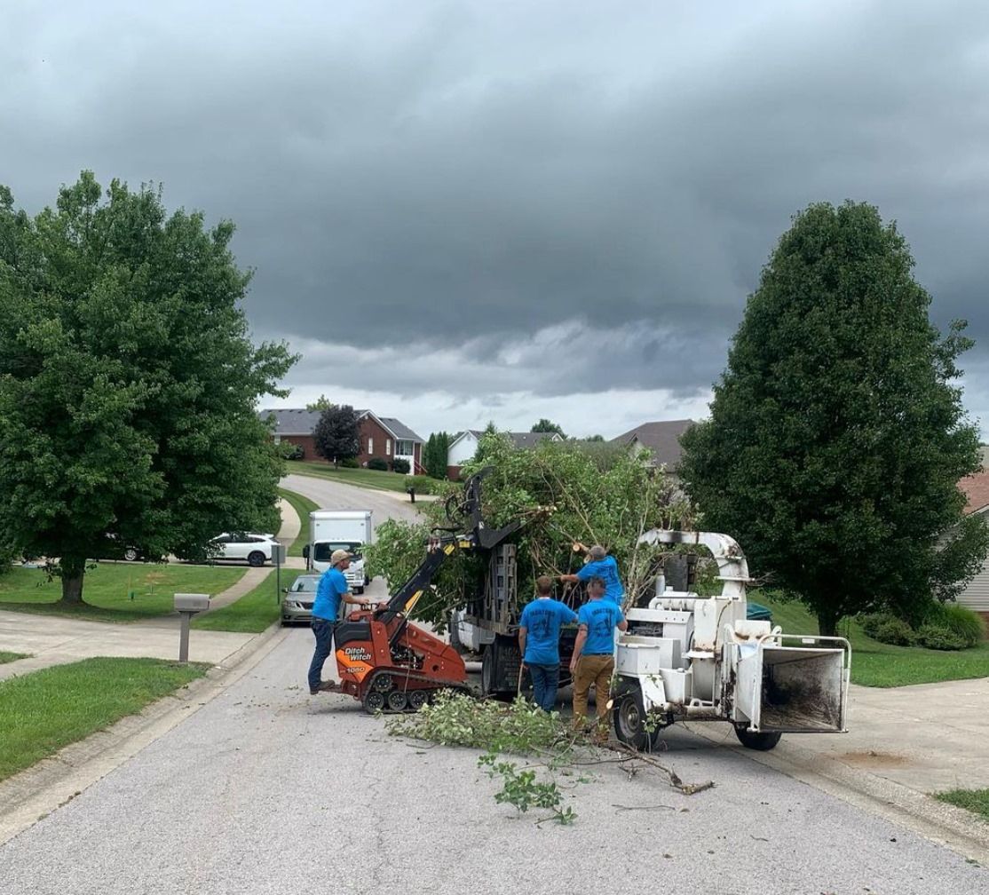 Workers with a chipper trim a tree on a suburban street under cloudy skies.