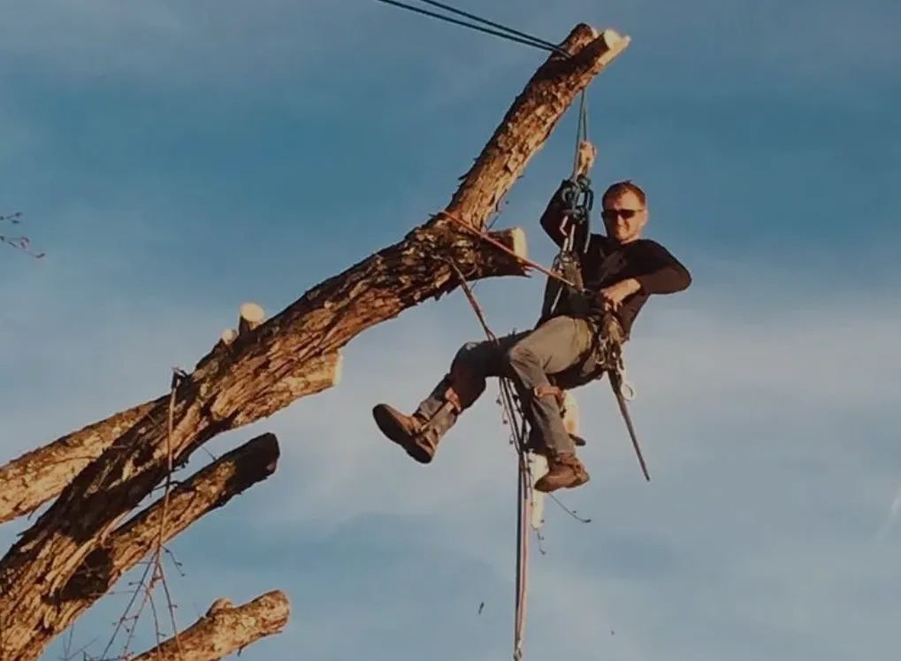 Person rappelling from a tall wooden structure against a blue sky Person rappelling from a tall wooden structure against a blue sky