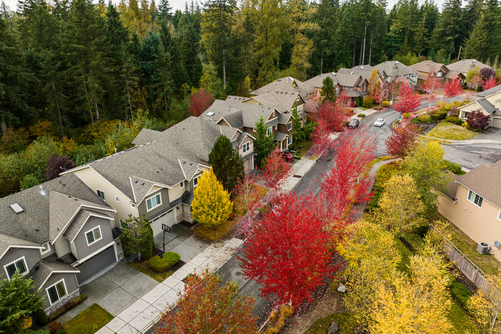 An aerial view of a residential neighborhood with trees and houses in autumn.