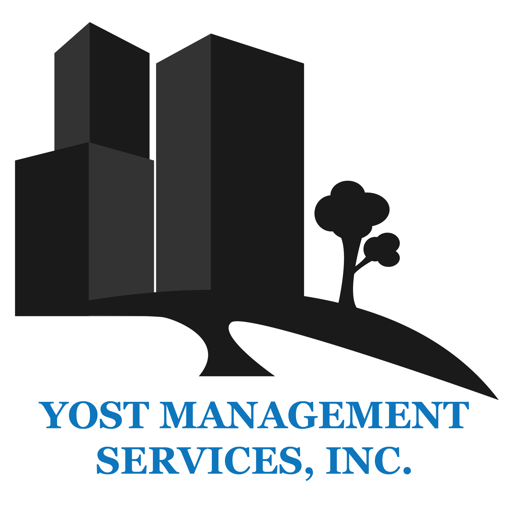 yost management services inc