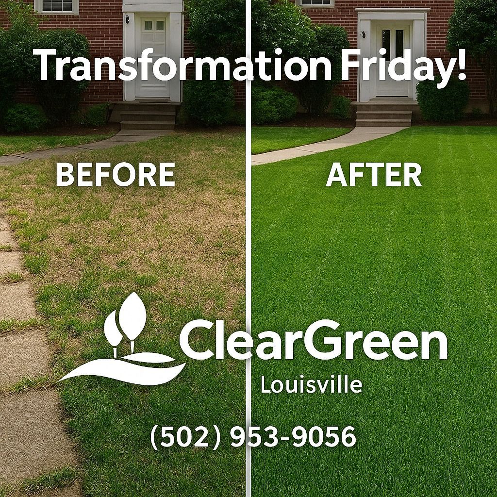 A before and after picture of a lawn with a cleargreen logo.