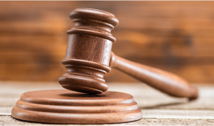 אפוטרופסות