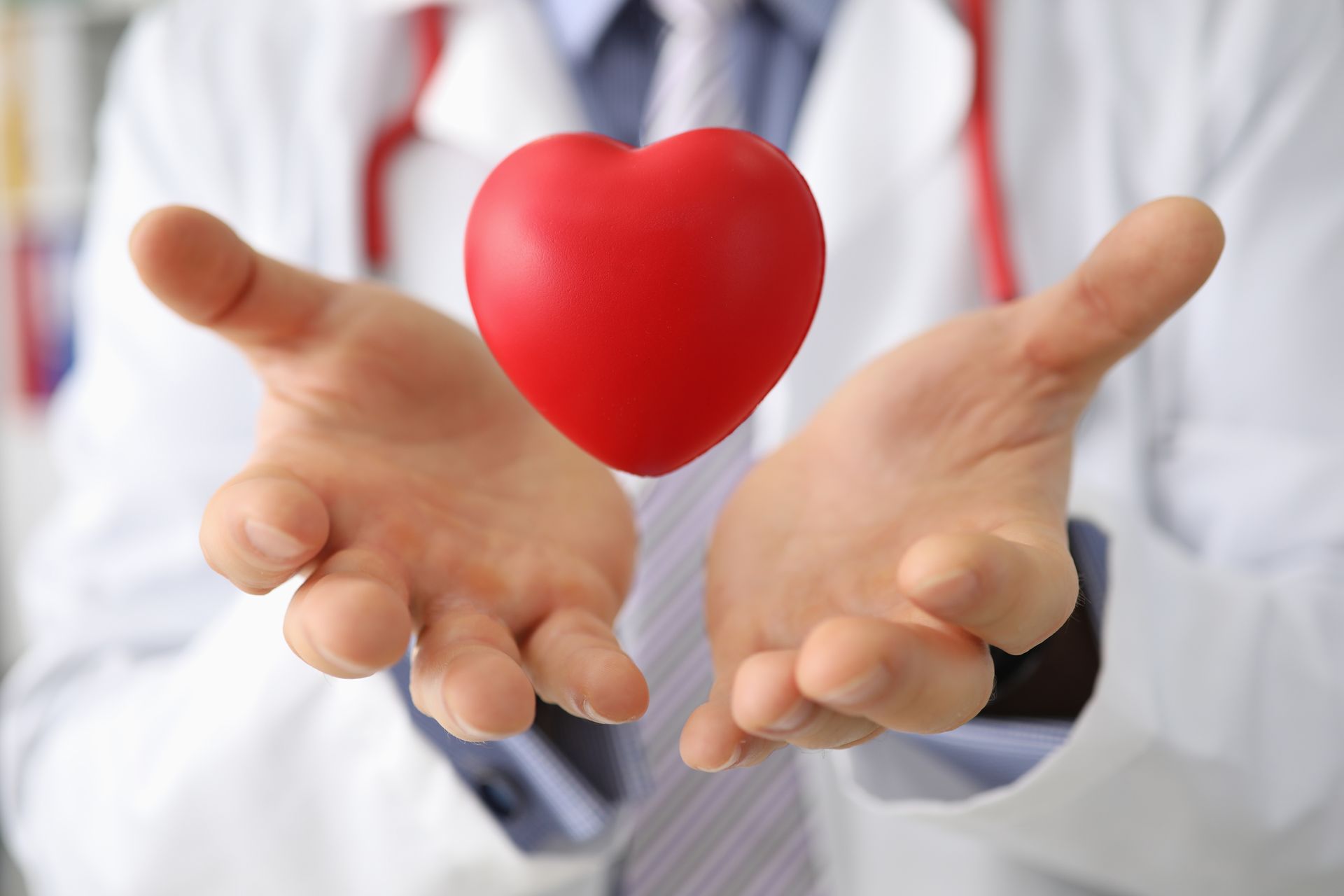 A doctor is holding a red heart in his hands.