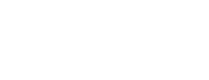 Express Alliance Courier