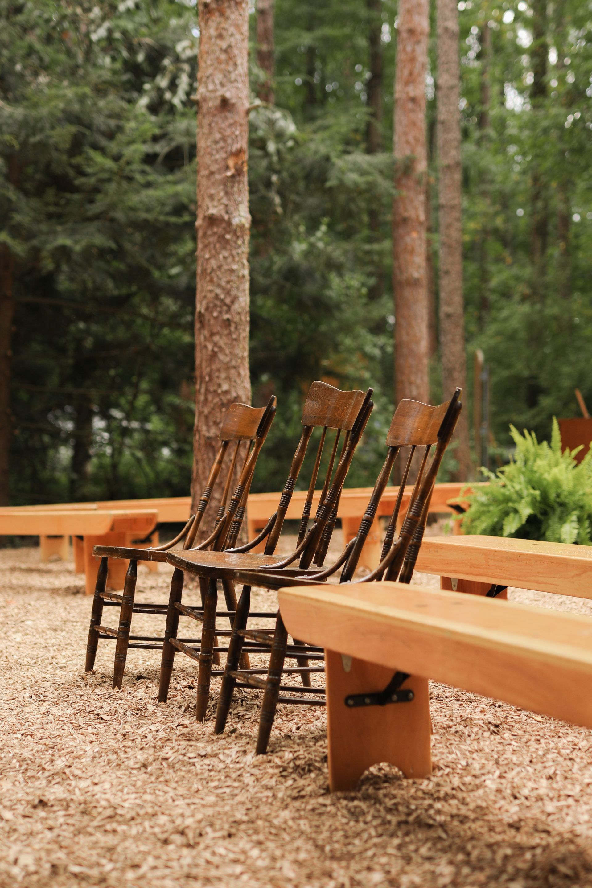 A row of wooden chairs sitting on wooden benches in the woods.