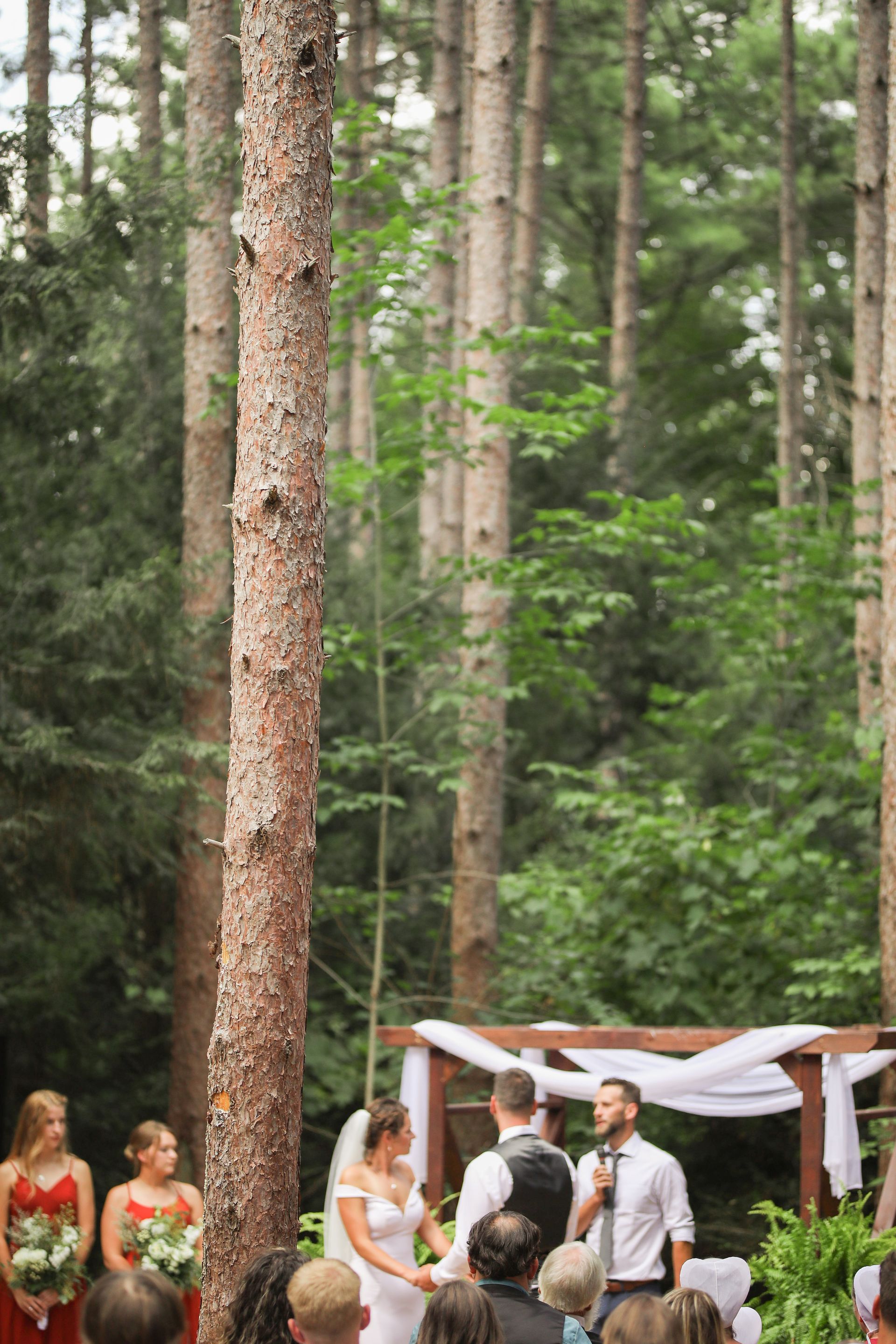 A bride and groom are holding hands during their wedding ceremony in the woods.