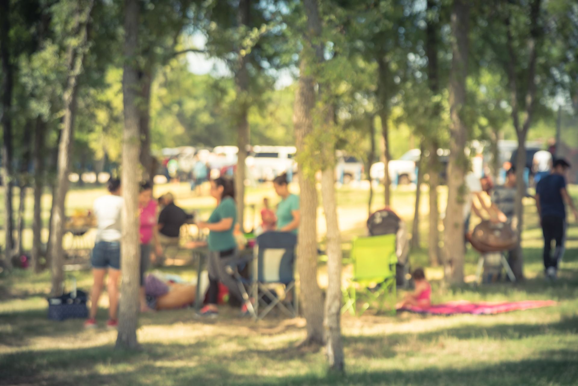 A group of people are sitting under trees in a park.