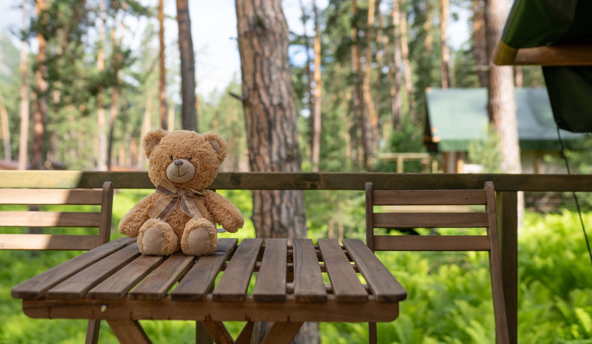 A teddy bear is sitting on a wooden table in the woods.