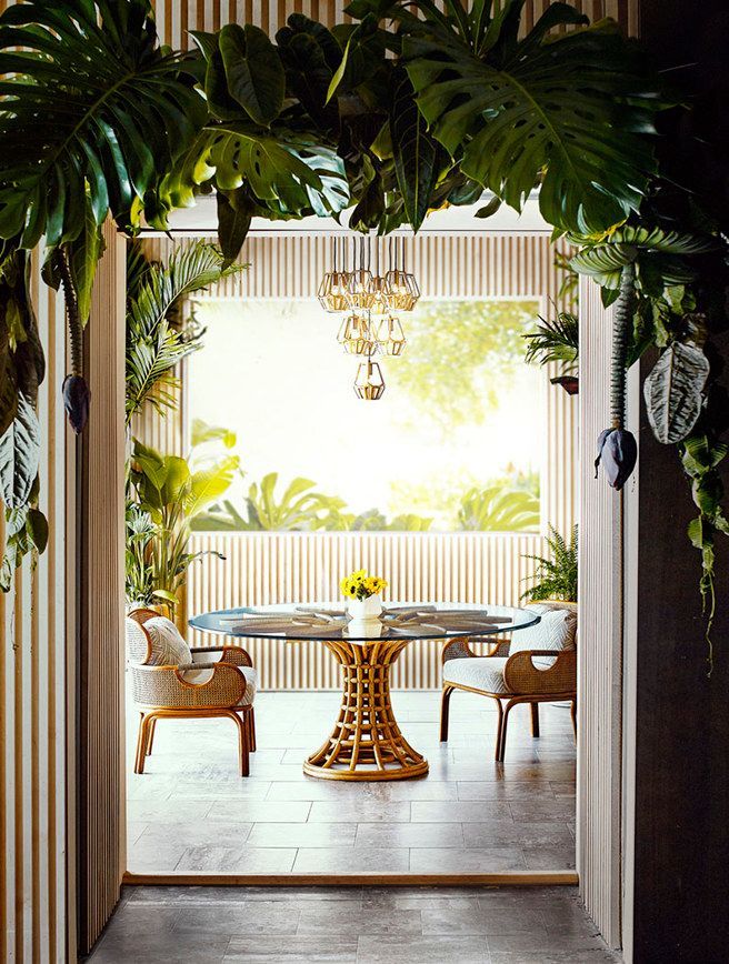 A room with a table and chairs surrounded by plants