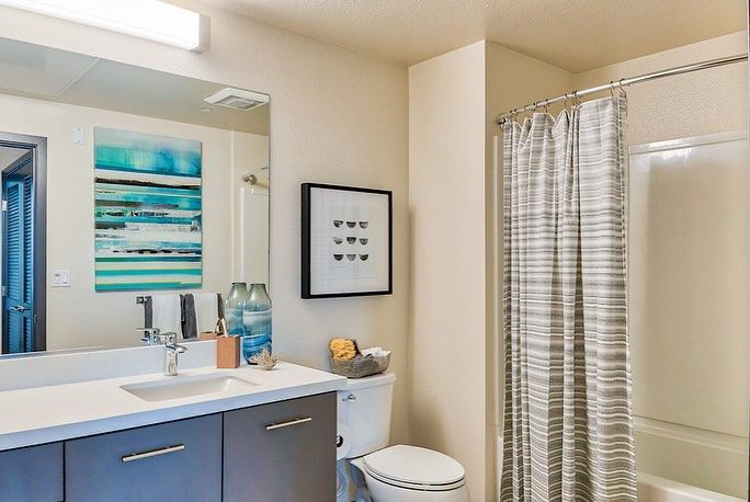 A bathroom with a toilet , sink , mirror and shower curtain.