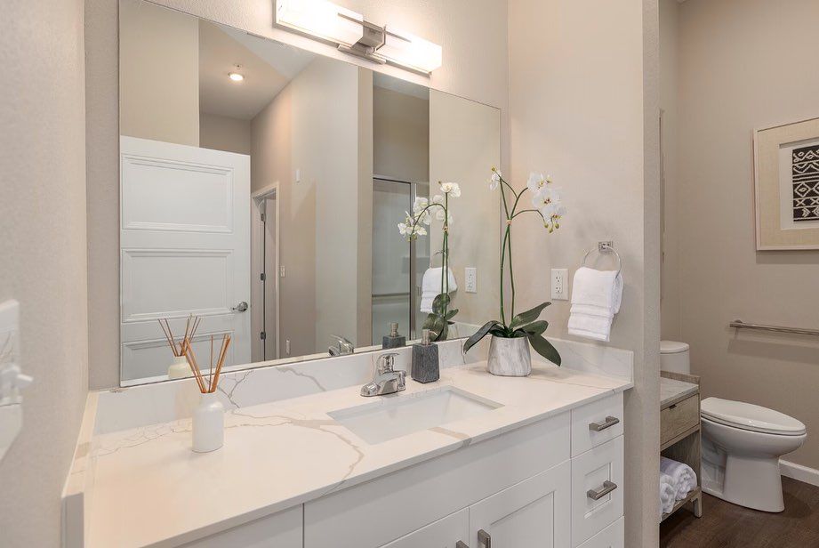 A bathroom with a sink , toilet and mirror.