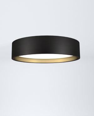 A black ceiling light with a gold rim is hanging from the ceiling.