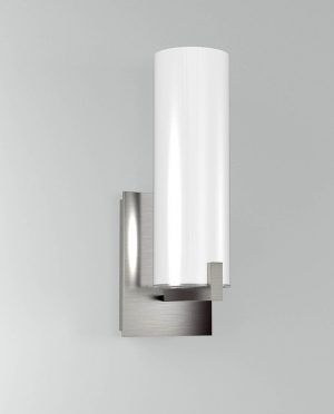 A stainless steel wall light with a white glass shade.