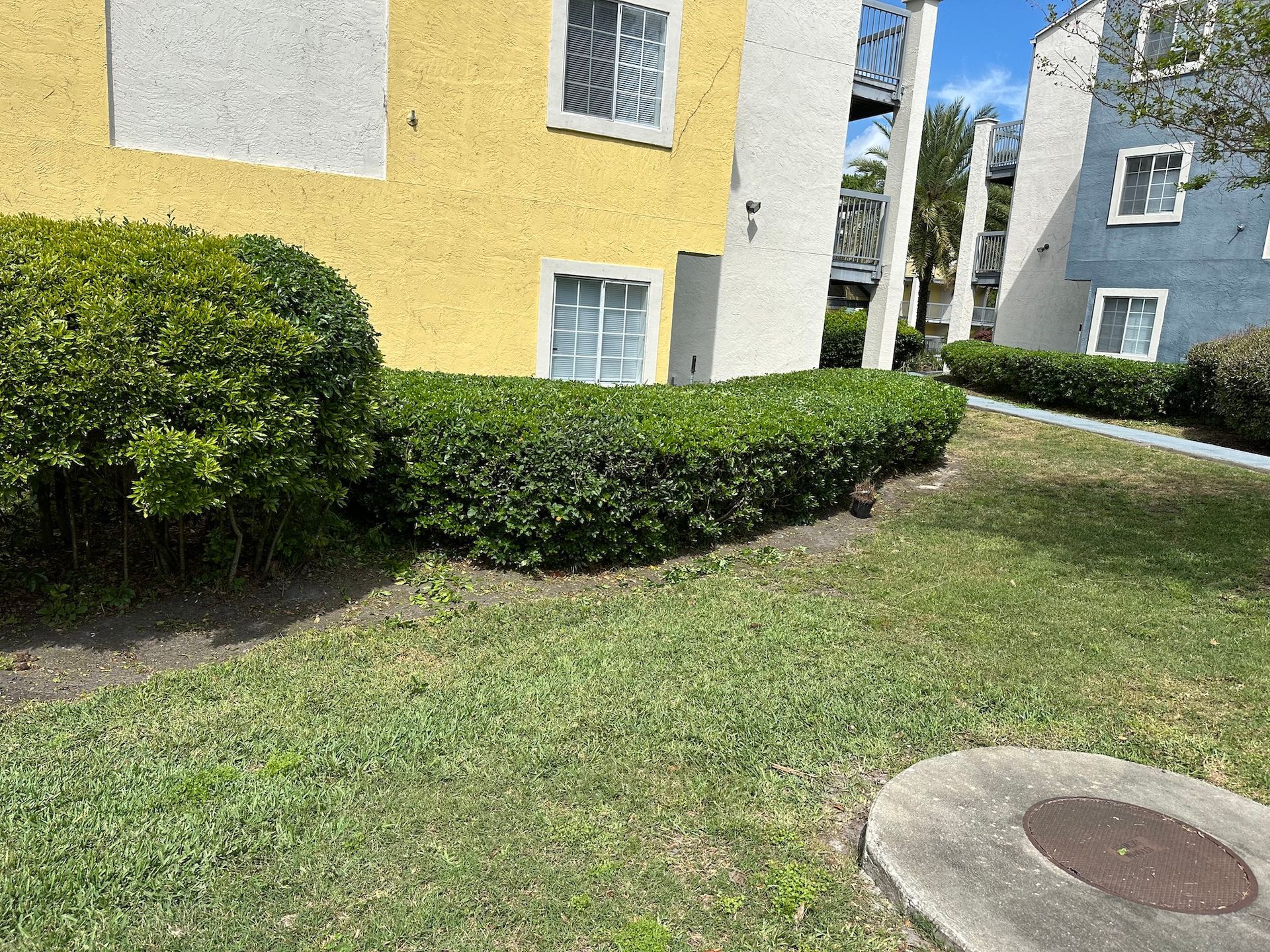 landscape maintenance