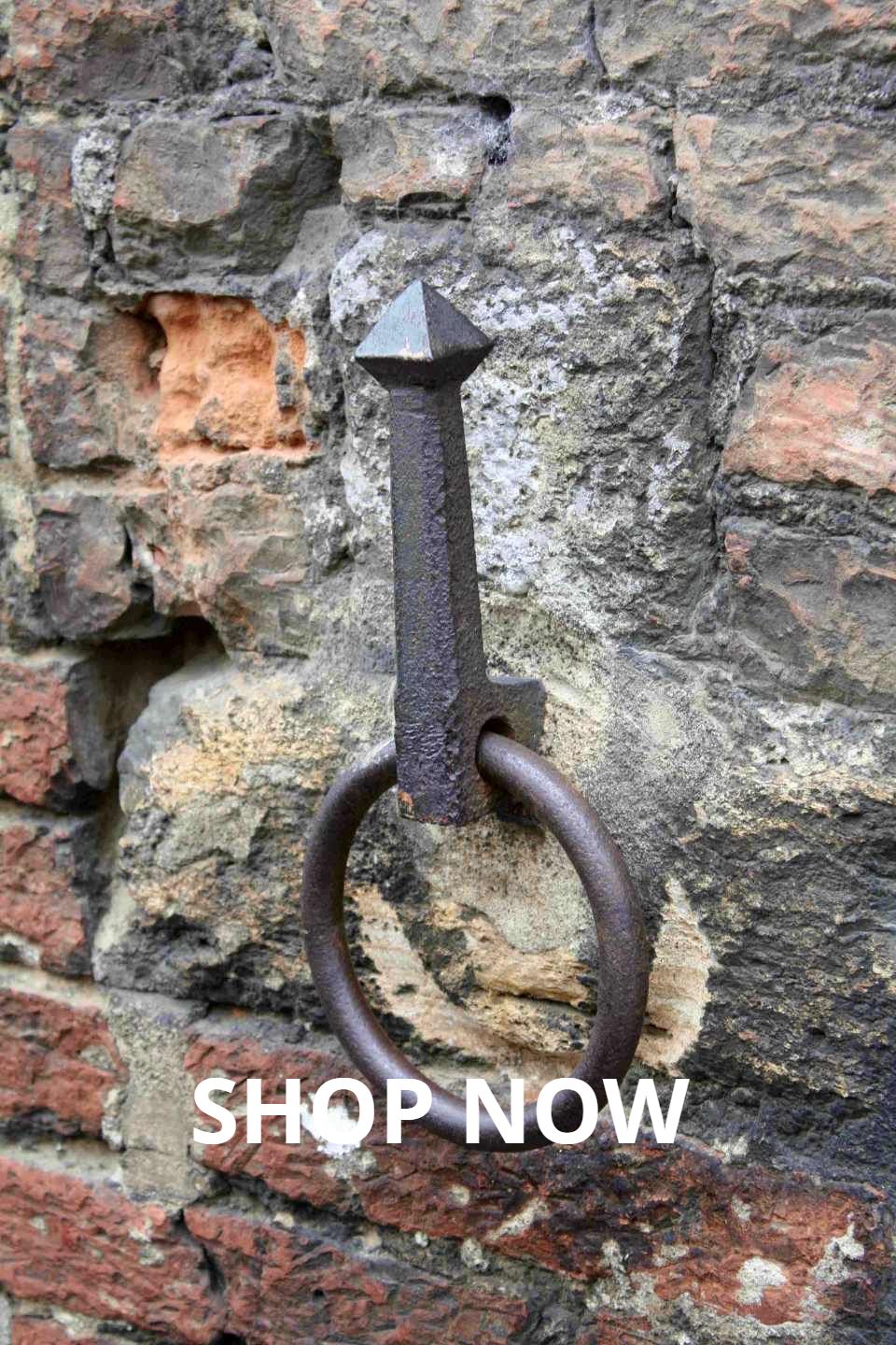 Captivating Nature and Wildlife Photography#4