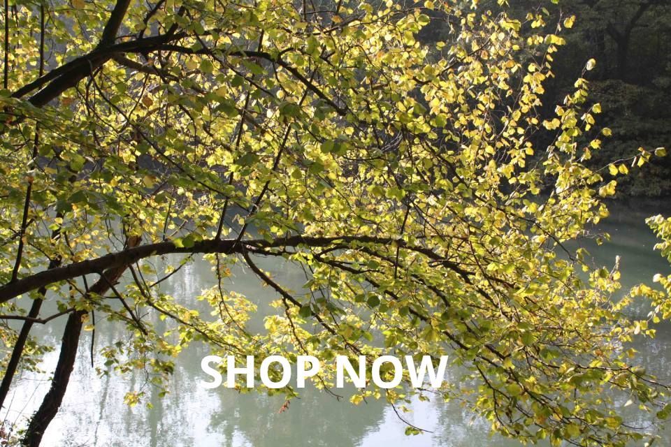 Captivating Nature and Wildlife Photography#2