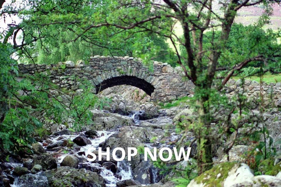 Captivating Nature and Wildlife Photography#1