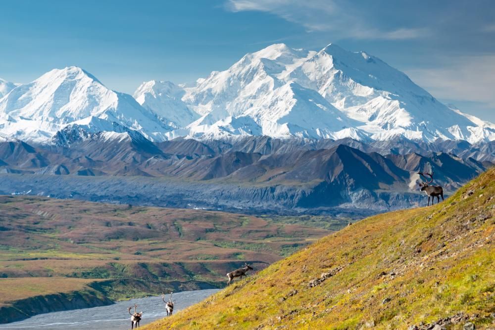 Snowy mountain range above a green valley with two hikers in the foreground