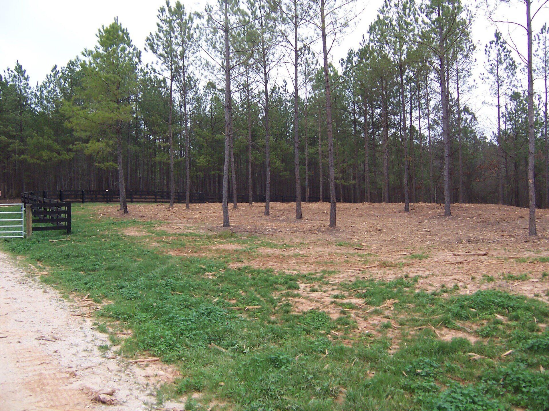 land and lot clearing