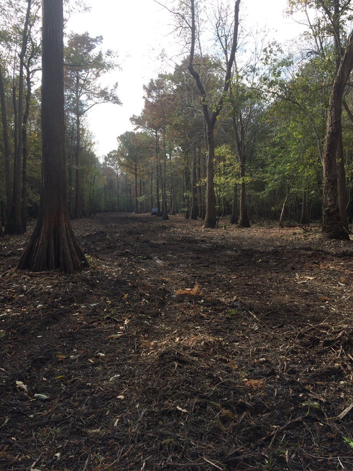 Hydrological Wetlands Restoration