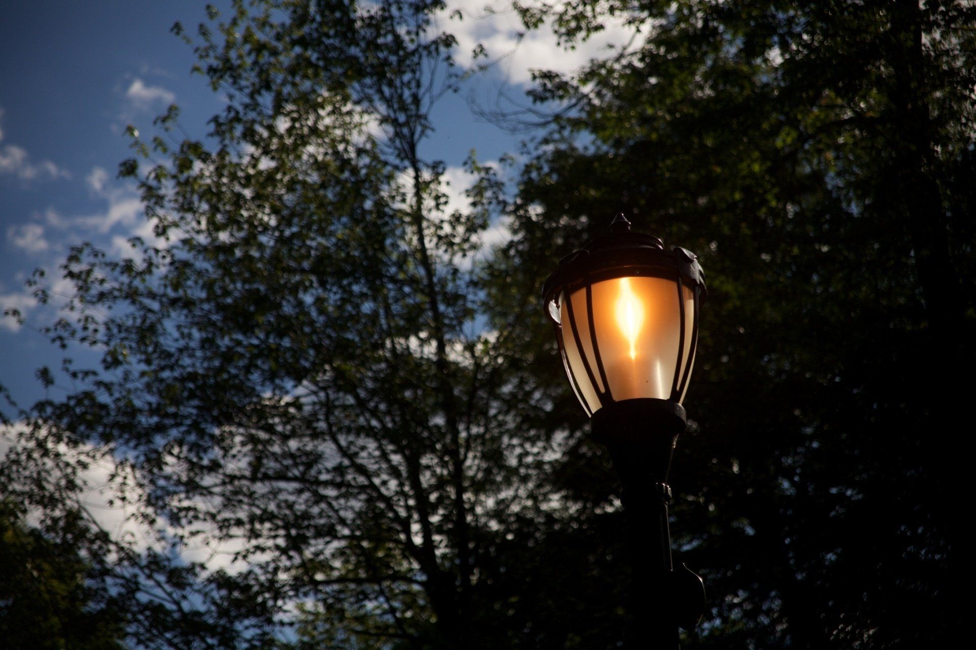 Elizabeth Rose Park, Hartford CT