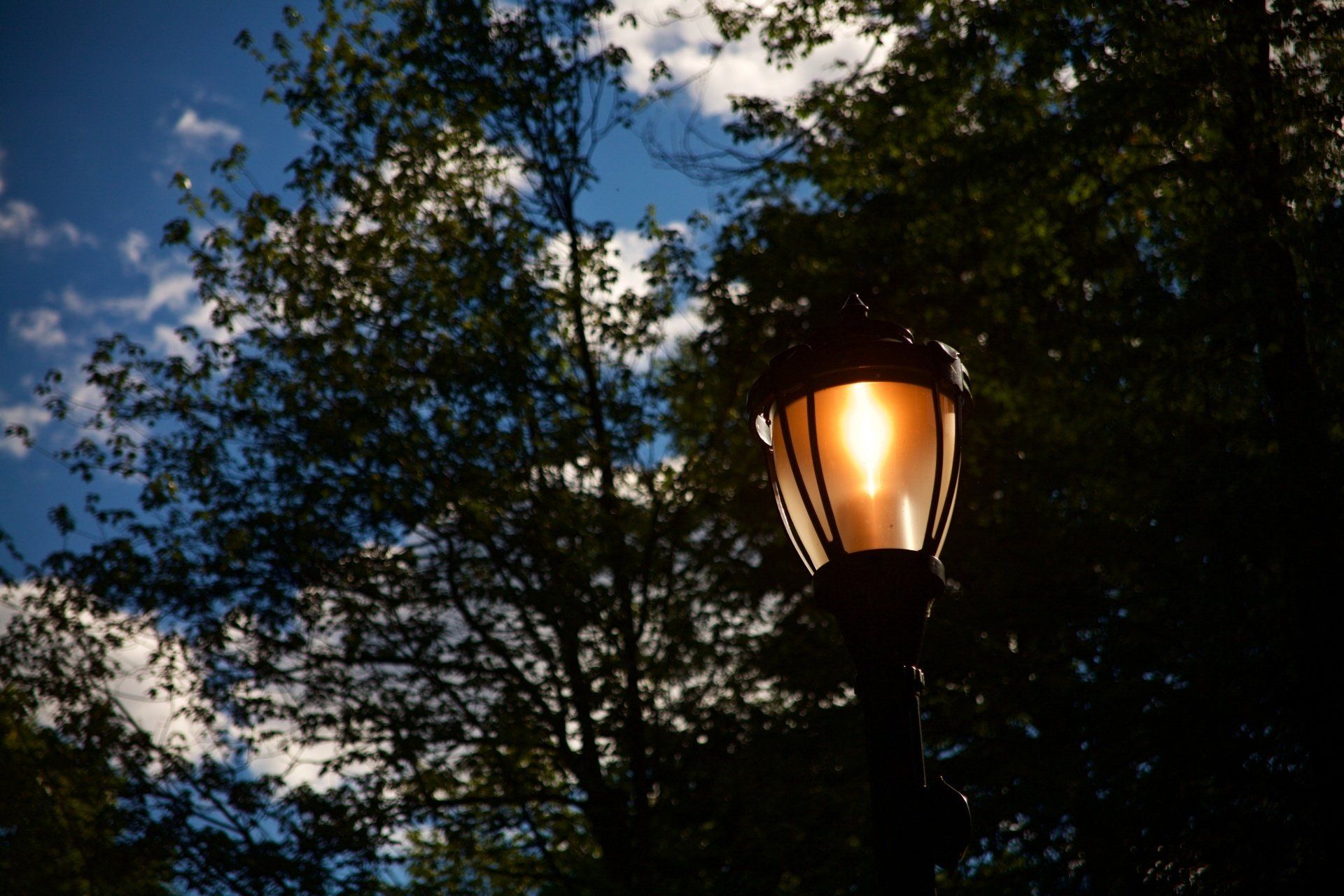 Elizabeth Rose Garden, Hartford, CT