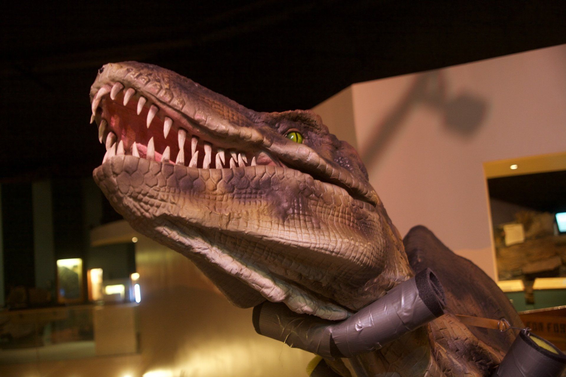 Dino State Park, Rocky Hill, CT