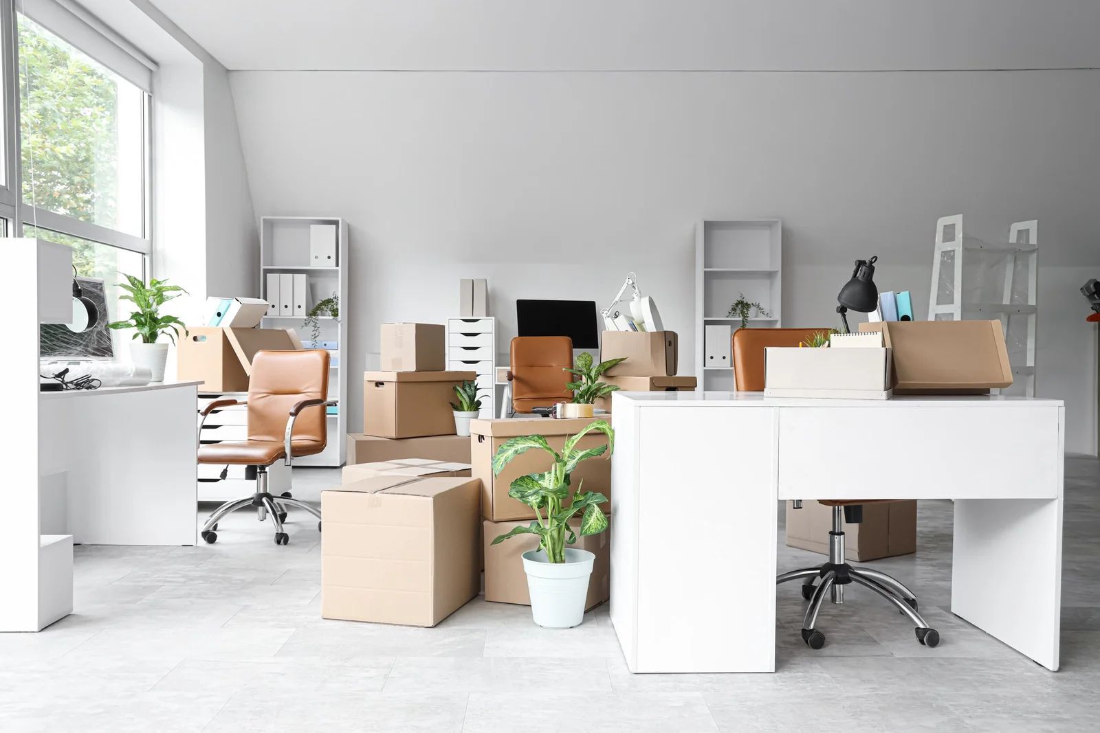 Bright modern office with desks, chairs, computers, and potted plants under large windows