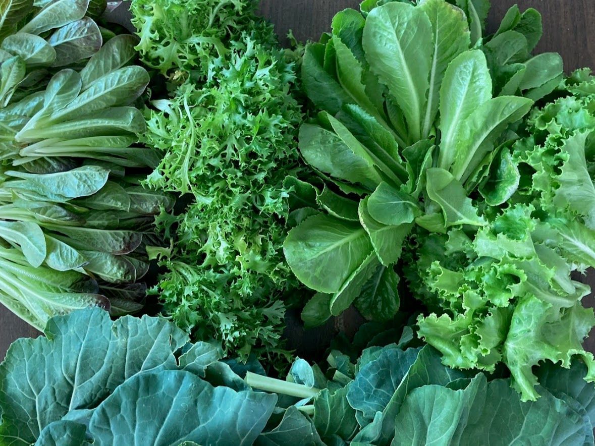 There are many different types of lettuce on the table.