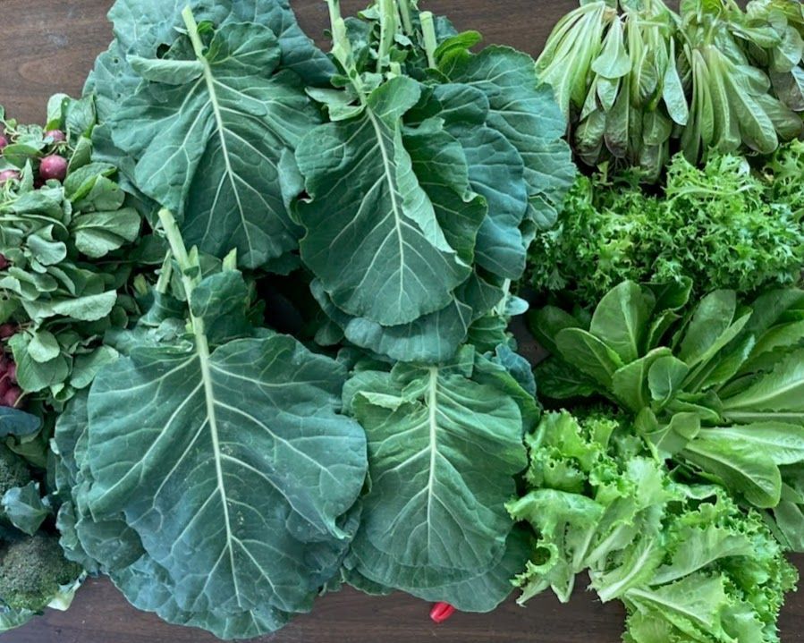 A bunch of green vegetables are sitting on a table